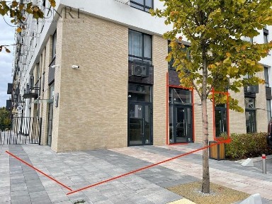 Київська область, Київ, Шевченківський