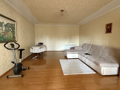 Київська область, Бориспіль