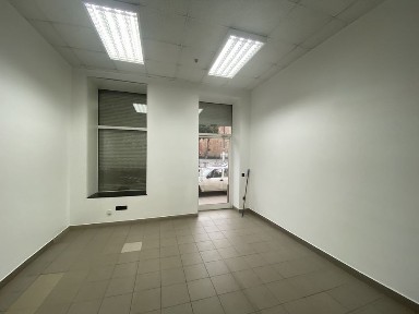 Львівська область, Львів, Галицький