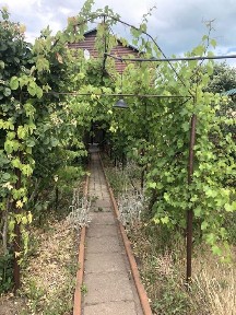 Одеська область, Чорноморськ