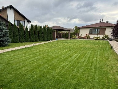 Домоволодіння на Великому Лузі