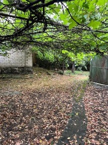 Продаж великого будинку село Орловець