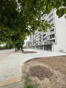 Чернівецька область, Чернівці