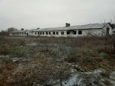 Ферма. Корівники. Будівлі. Тваринницький комплекс. Ділянка 2,8 га.