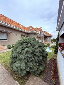 Закарпатська область, Минай