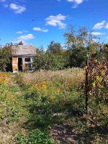 Продам дачу в Соколовському масиві