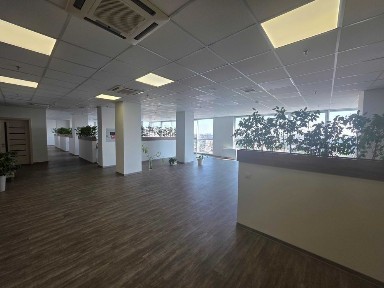 Київська область, Київ, Голосіївський