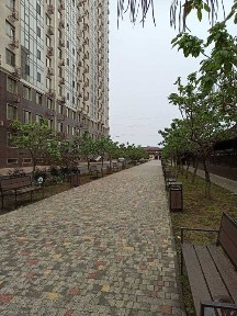 Одеська область, Лиманка