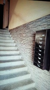 Київська область, Київ, Голосіївський