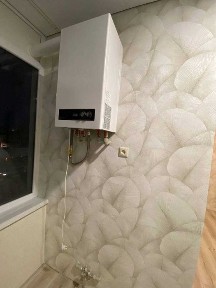 Житомирська область, Житомир, Максютова