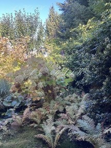 Здам метро Бориспільська Бортничі будинок 95м поруч ліс, озеро