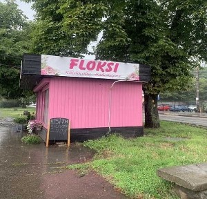 Київська область, Київ, Оболонський