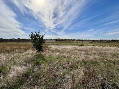 Продам Будинок Єлизаветівка, велика ділянка