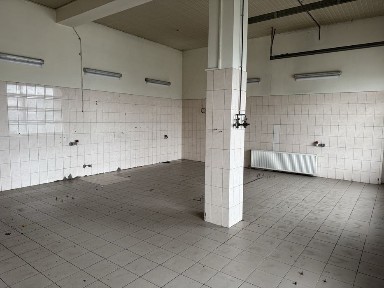 Закарпатська область, Мукачево