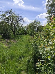 Продаж Дача Черкас