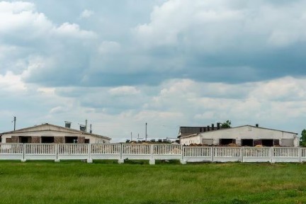 Продаж ферми, Корівники, 4800 м2, земля 6 Га