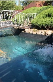 Київська область, Ірпінь