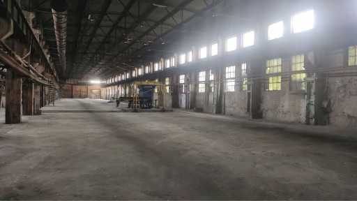 Київська область, Київ, Голосіївський