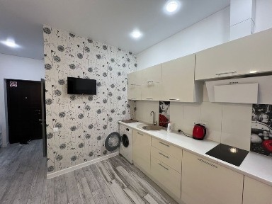 Аренда квартиры в Одессе. Аркадия. ЖК-Элегия Парк