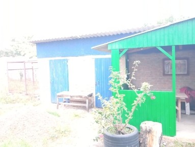 Продам дом (статус квартиры)