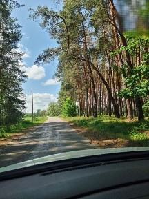 Полтавська область, їжаківка