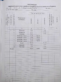 ‼️Продаж Будинок Коростишів Більківці