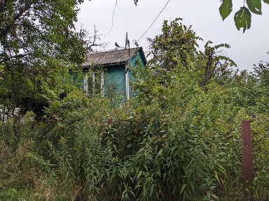 Київська область, Київ, Дніпровський