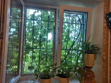 Одеська область, Одеса, Приморський