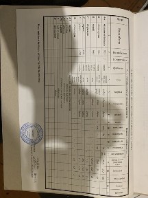 Дніпропетровська область, Кривий Ріг, Центрально-Міський