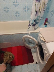 Здається квартира центр можна короткий строк, тваринки