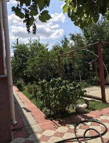 Оренда Будинку | Є Підвал | Святопетрівськ