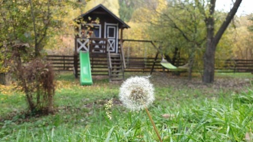 Оренда будинок. Баня. Чан. Дача
