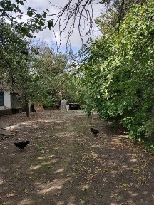 Продам будинок в с. Любівка