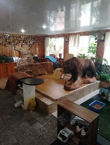 Продам будинок у с. Курилівка