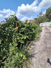 Дніпропетровська область, Кам'янське