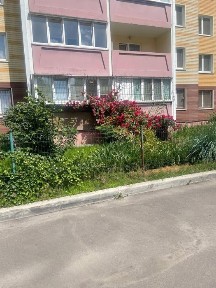 Київська область, Київ, Голосіївський