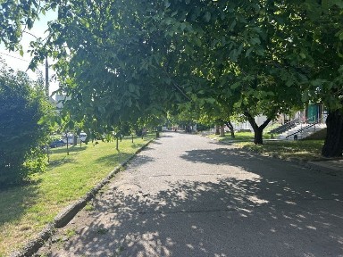 Чернівецька область, Чернівці