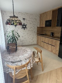 Оренда 1-кімнатної квартири, велика кухня-студіо, перше заселення