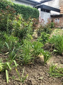 Р-н площі Лаборця! Будинок під житло або комерцію.