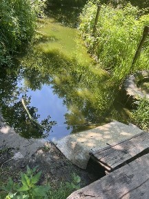 Продам будинок в Рибачому