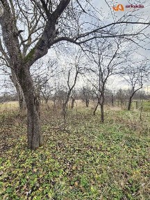Цегляний будинок в центрі м. Калуш з земел. ділянкою