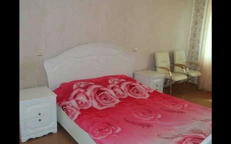 Оренда 1-кімнатної квартири 30 м², Добровольского просп., амазонка ул., 1/1