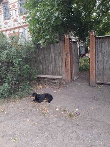 Продається будинок в с. Гребениківка Тростянецького р-ну.