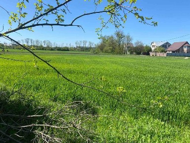 Недобудова в с. Рогозів з кутовою ділянкою