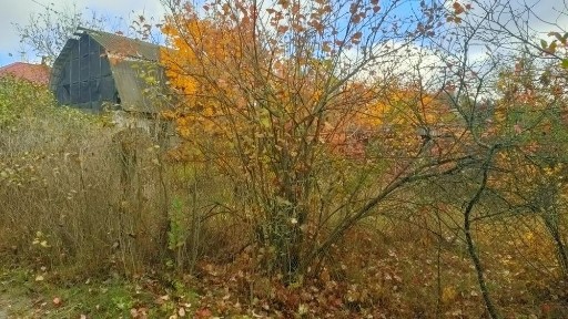 Продаж дача с. Торф'чне СТ Жайворонок