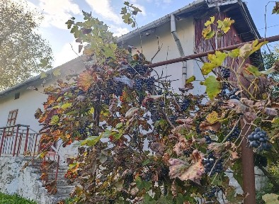 Будинок. Велика земельна ділянка. Газ. Зручний доїзд