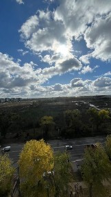 Київська область, Софіївська Борщагівка