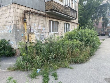 Квартира під бізнес 1 поверх