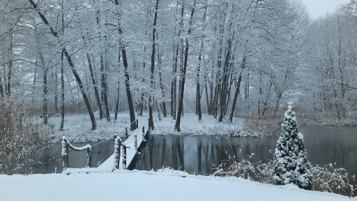 Проживание Полтава, дом п. Вороніна вул. Горіхова 4
