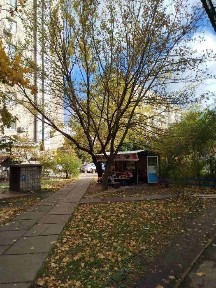 Київська область, Київ, Дніпровський